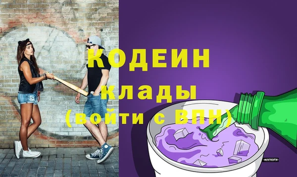 бошки Ельня